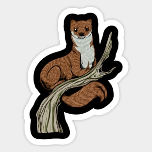Drawing of a ferret Sticker